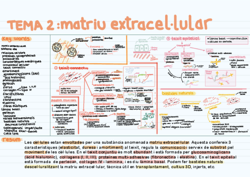 ESQUEMES-BIOLOGIA-CELLULAR.pdf