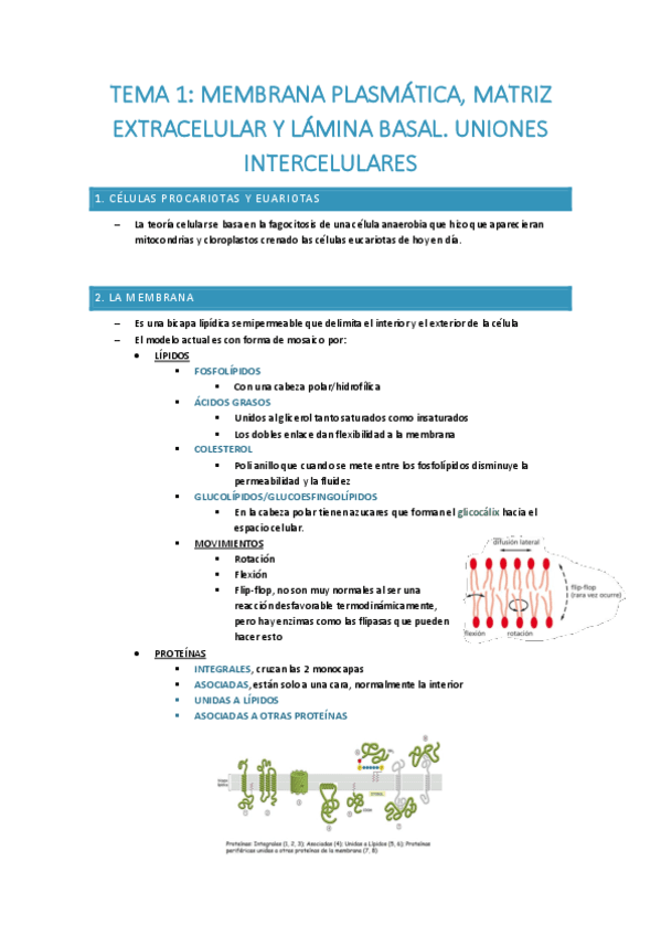 tema-1-Membrana-plasmatica.pdf