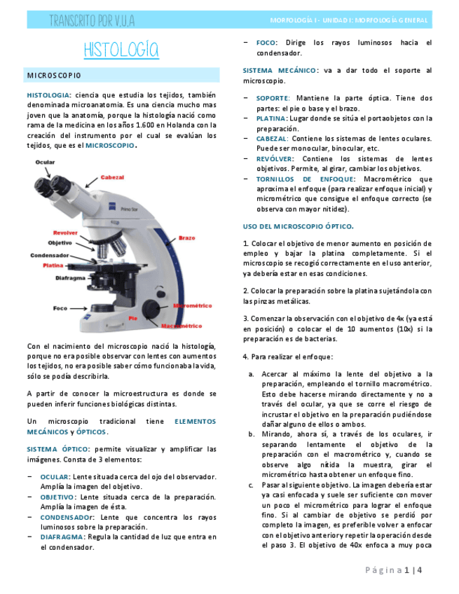 3.1-ANEXO-MICROSCOPIO.pdf