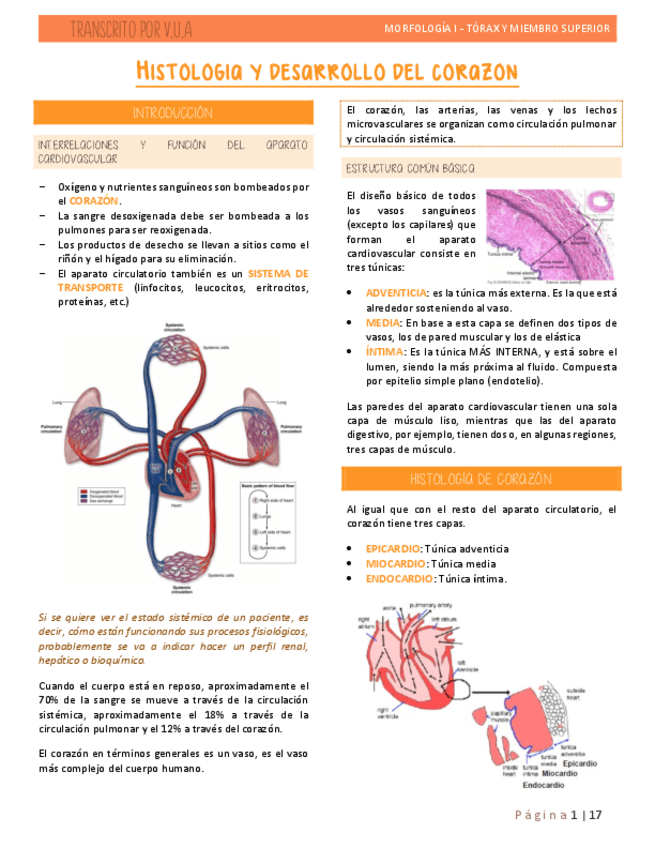 7.-HISTOLOGIA-Y-EMBRIOLOGIA-DEL-CORAZON.pdf