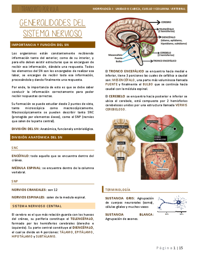 7-Generalidaes-SN.-Medula-Espinal-Tronco-Encefalico-Cerebelo.pdf