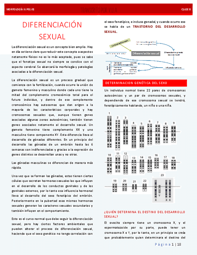 8.-DIFERENCIACION-SEXUAL-EMBRIOLOGIA.pdf