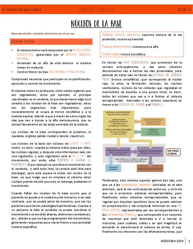 C17-NUCLEOS-DE-LA-BASE-NEUROANATOMIA.pdf