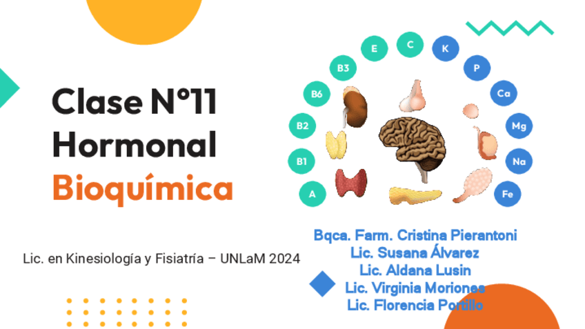 CLASE-13-HORMONAL-Bioquimica-2024.pdf