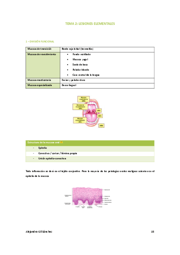 Tema-2-medicina.pdf