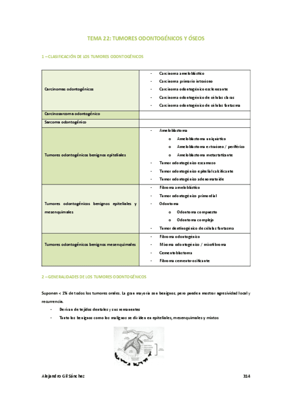 Tema-22-medicina.pdf