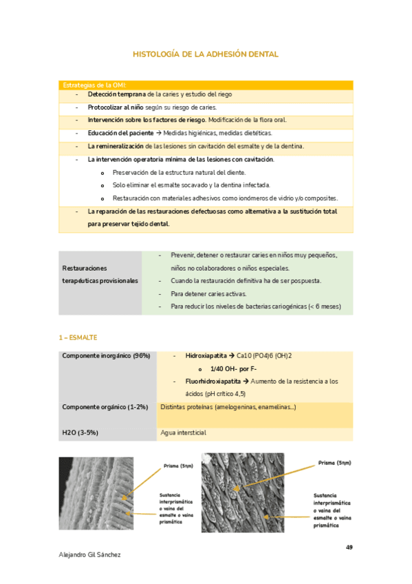 Tema-4-OMI.pdf