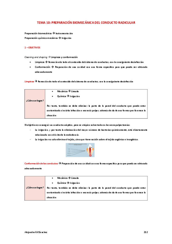 Tema-10-PTD.pdf