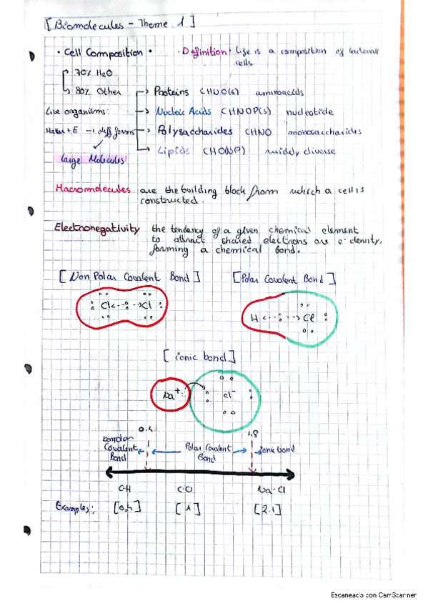 biomolecules.pdf