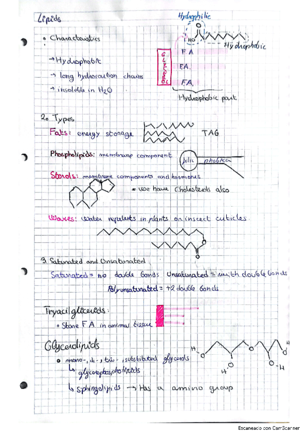 lipids.pdf