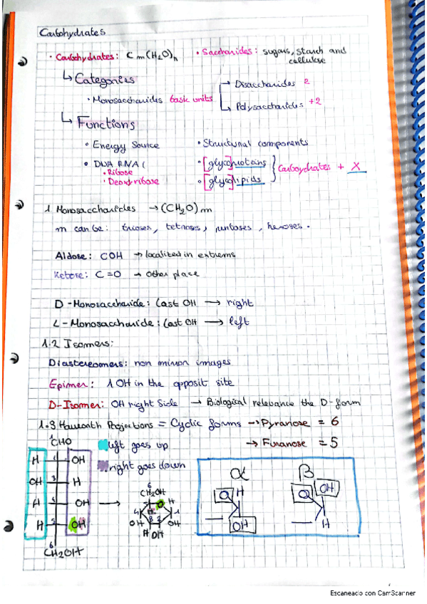 carbohydrates.pdf