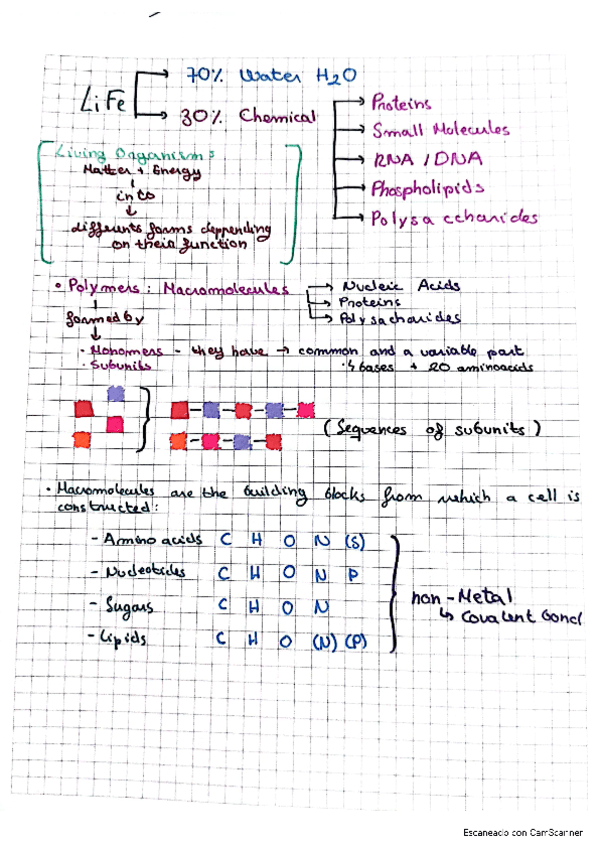 Introduction-to-Biomolecules.pdf