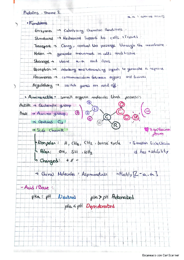 proteins.pdf