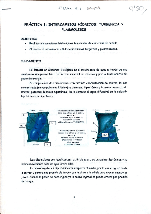 Fisiologia-Practica-1-Intercambio-hidricos.pdf