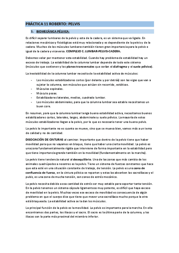 Roberto-practica-11-actualizado-Pelvis.pdf