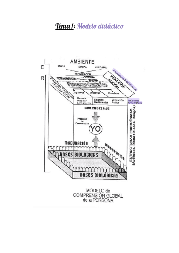 TEMA-1-Psicologia.pdf