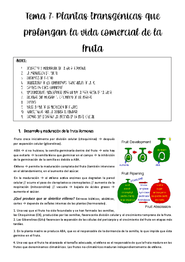tema-7-BPH.pdf