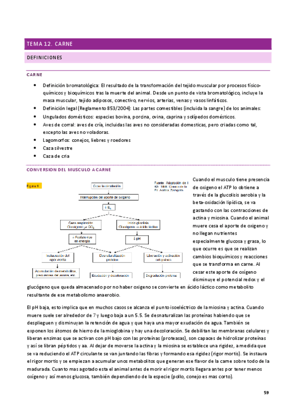 Parcial-2-Bromatologia-1.pdf