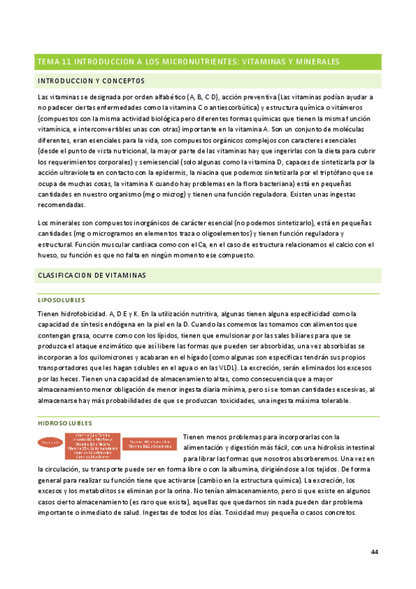 Parcial-2-Nutricion-H.pdf