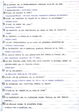 preguntas antomia.pdf