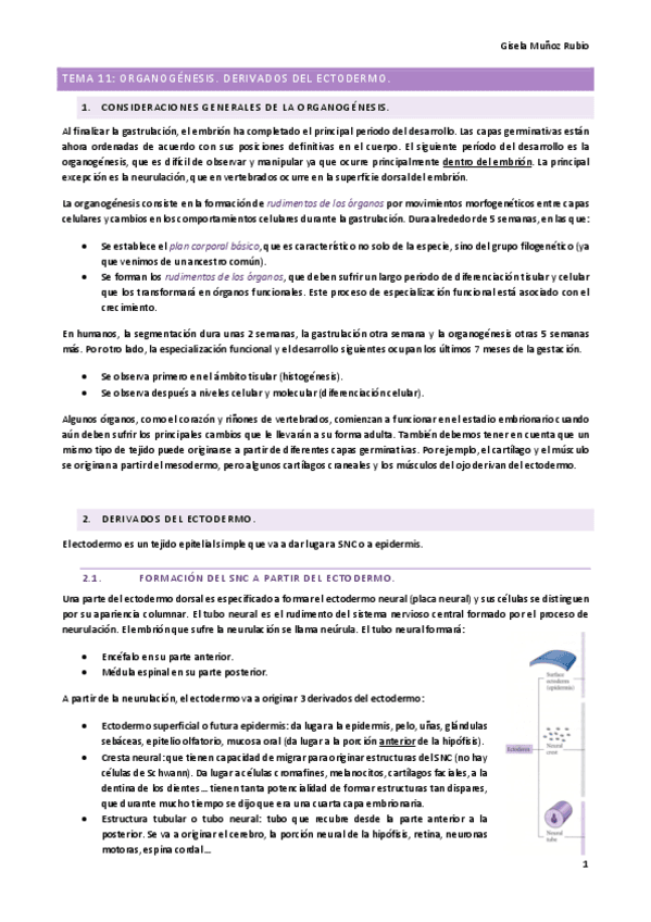 T11.pdf