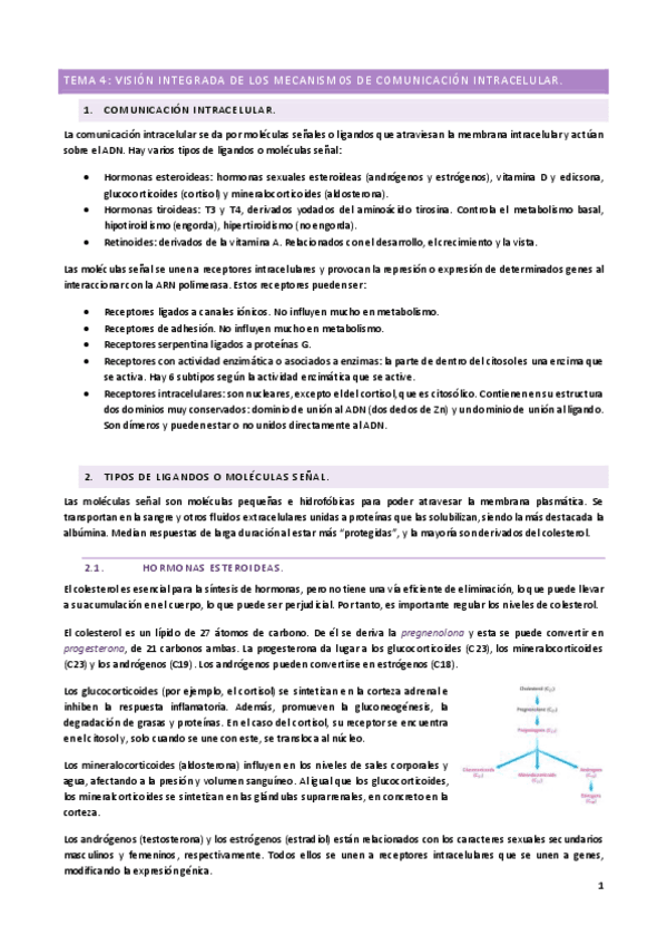 T4.pdf