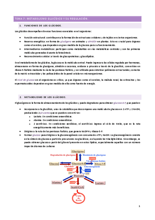 T7.pdf