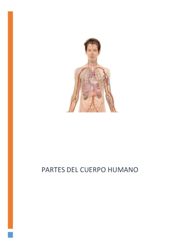 Trabajo-educacion-fisica-cuerpo-humano.pdf