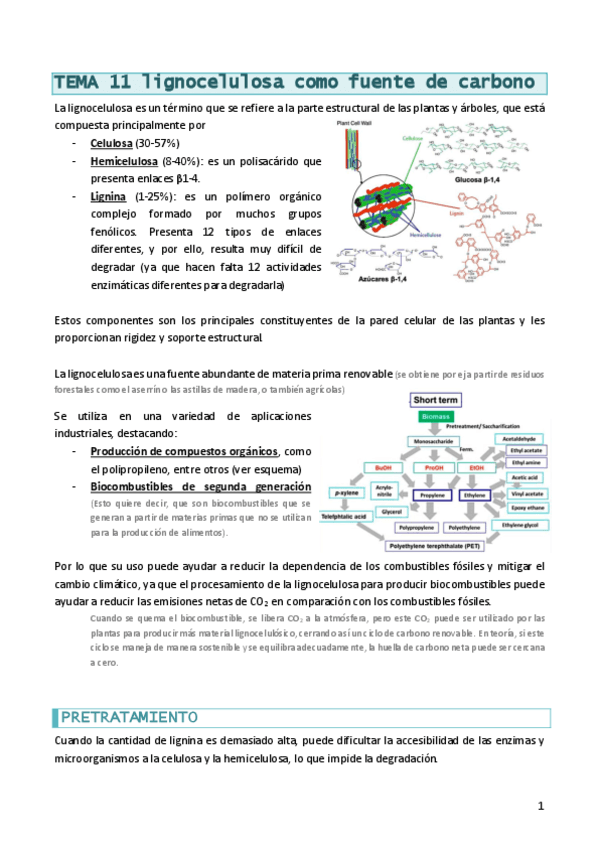 BMicrobianaT11lignocelulosa.pdf