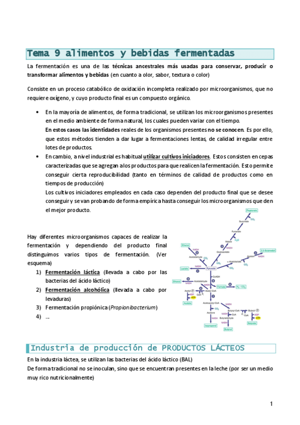 BmicrobianaT91fermentacion.pdf