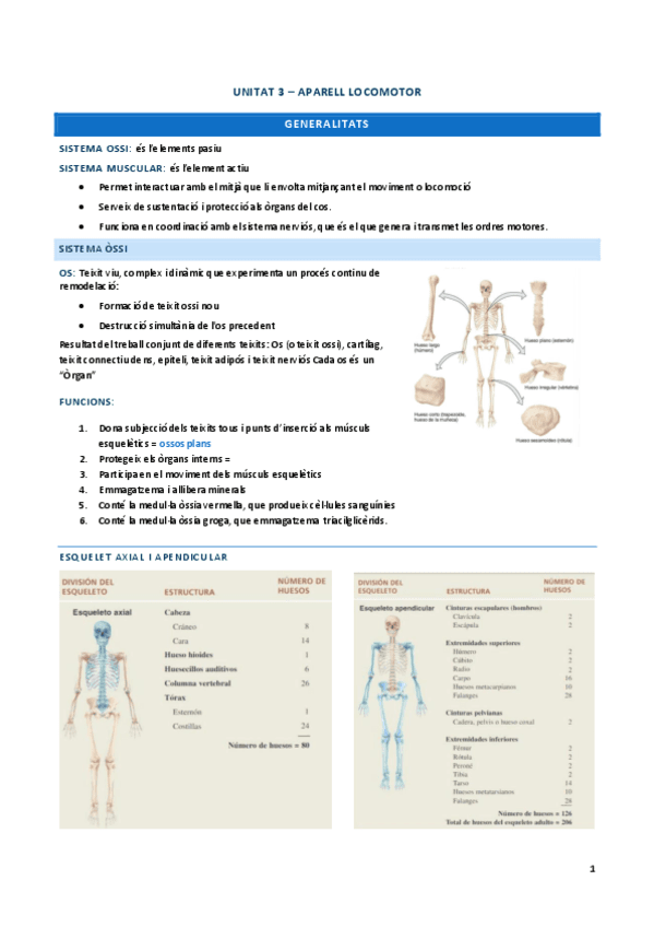 UNITAT-3-Anatomia.pdf