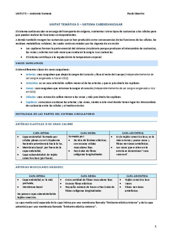 UNITAT-5-Anatomia.pdf