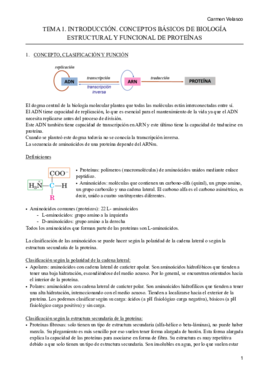 TEMA 1. INTRODUCCIÓN.pdf