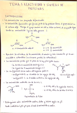 TEMA 3. REACTIVIDAD Y SÍNTESIS DE PROTEÍNAS.pdf