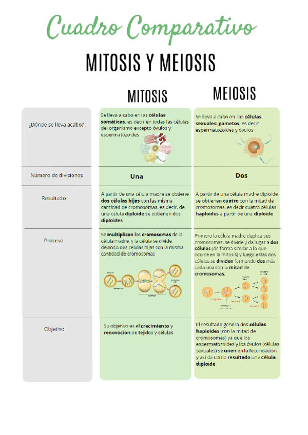 BIOLOGIA-cuadro-comparativo-mitosis-y-meiosis-.pdf