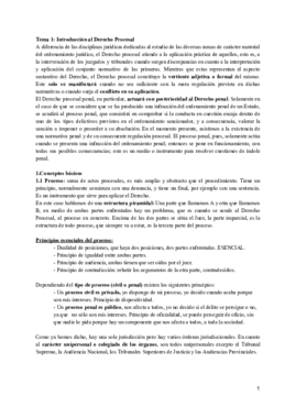 Tema 1_ Introducción al Derecho Procesal (2).pdf