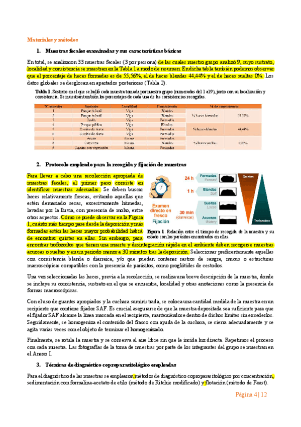 informe-parasito.pdf