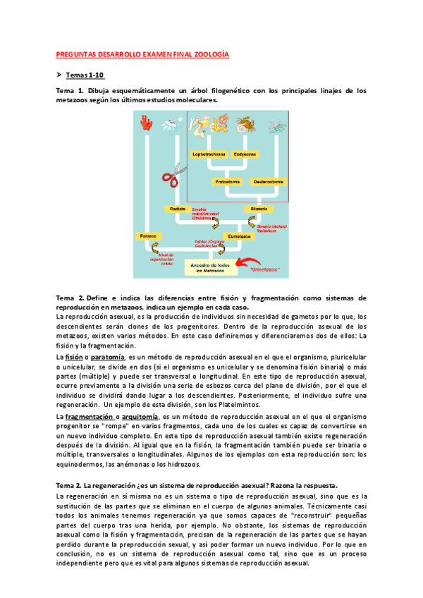 Preguntas-desarrollo-examen-final.pdf