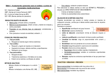 Anàlisi (parcial 1).pdf