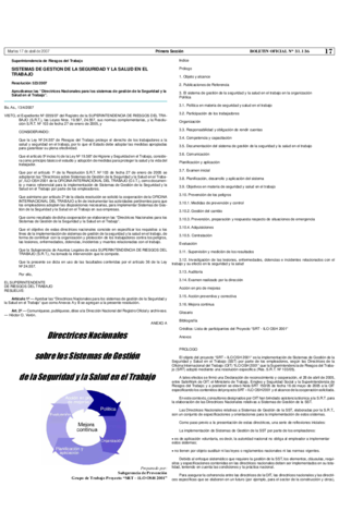 ResolucionSRT523_07.pdf