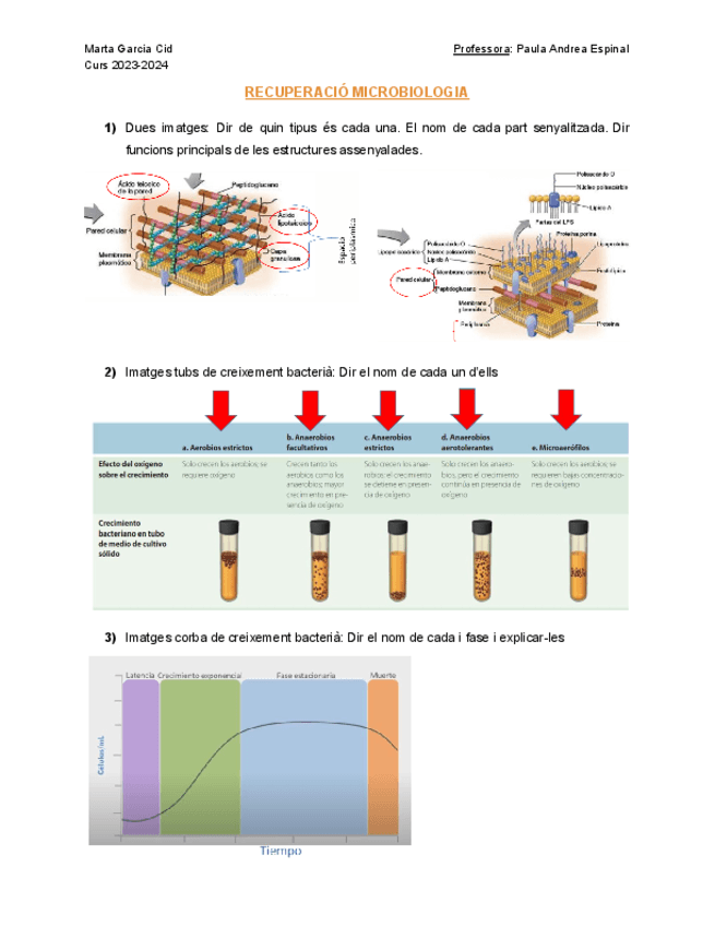 Preguntes-recuperacio-juny-microbiologia.pdf