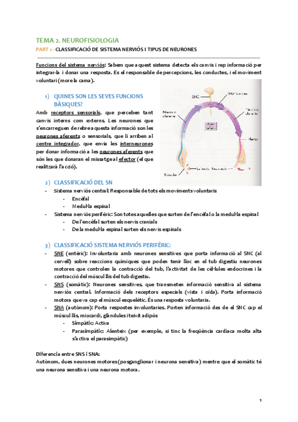 2.-Neurofisiologia-part-1.pdf