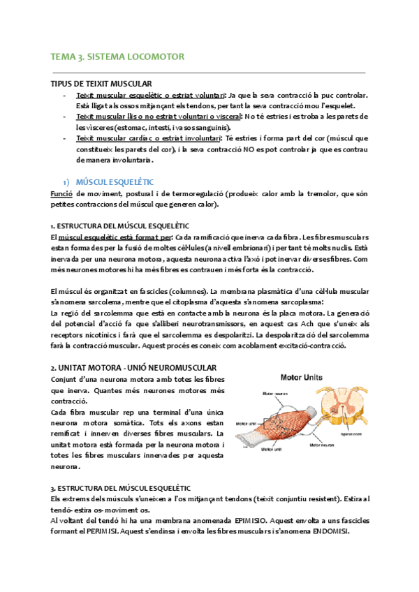 4.-Sistema-locomotor-part-1.pdf