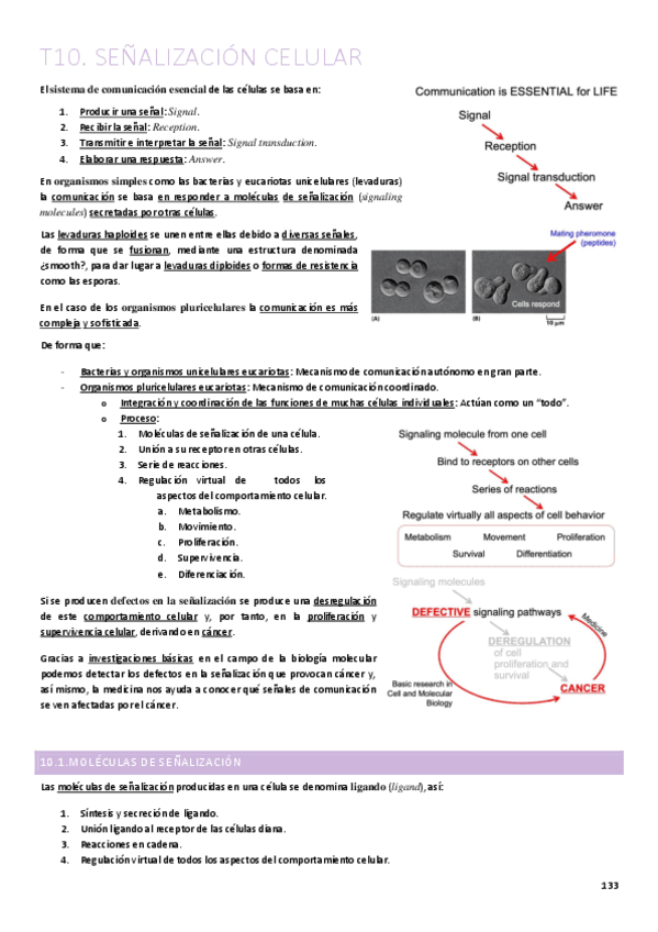 T10.-Senalizacion-celular.pdf
