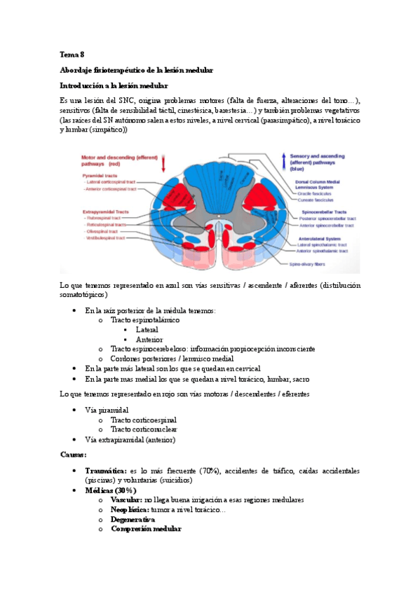 Tema-8-de-neuro-lesion-medular.pdf