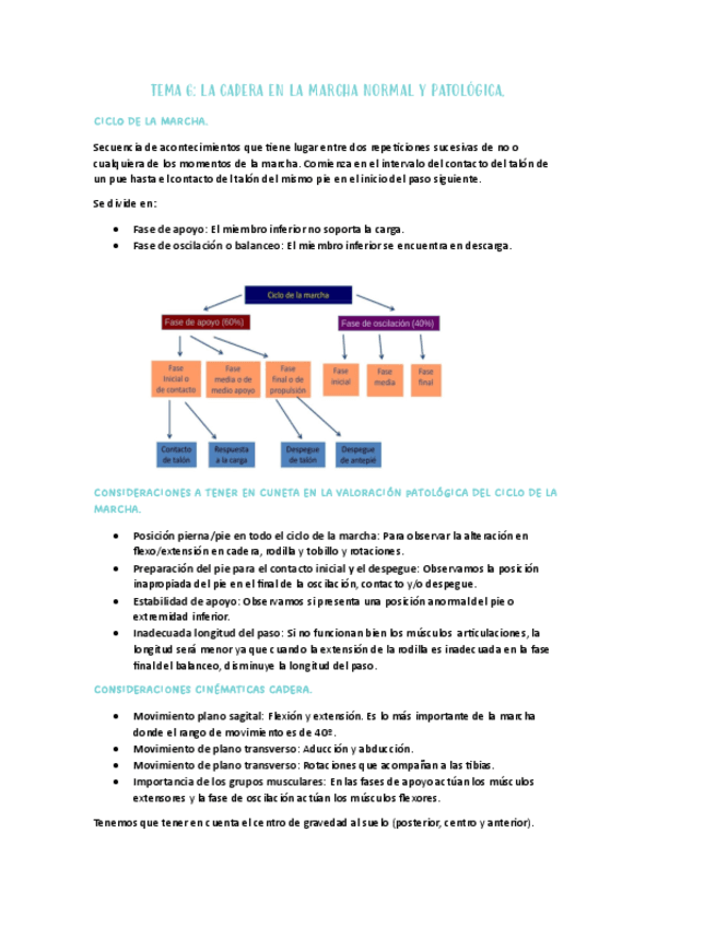 TEMA-06-LA-CADERA-EN-LA-MARCHA-NORMAL-Y-PATOLOGICA..PDF