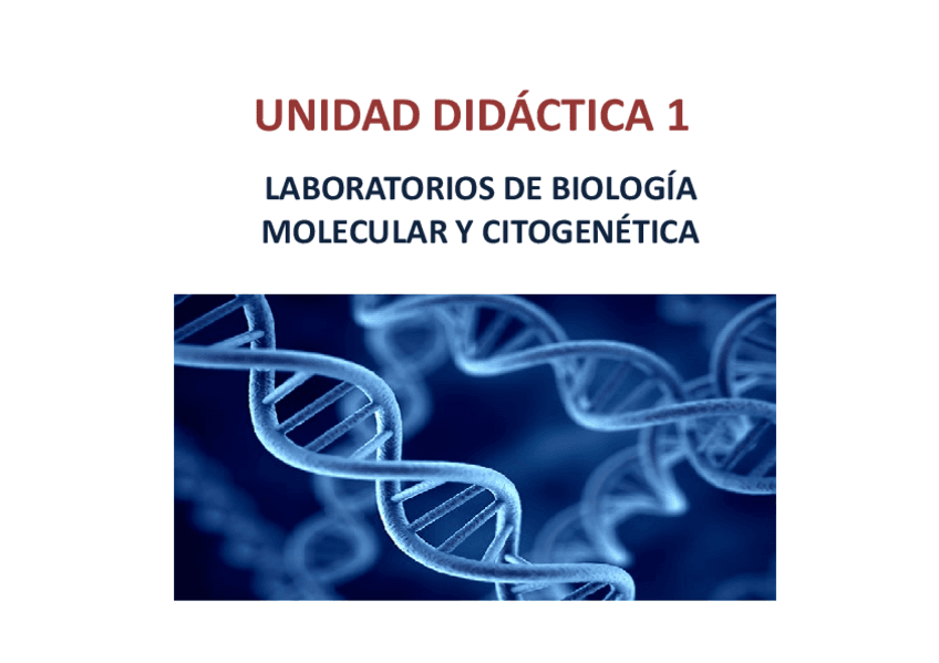 EL-LABORATORIO-DE-BIOLOGIA-MOLECULAR-Y-CITOGENETICA.pdf