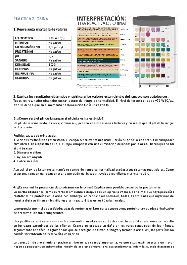 Practica-2.-orina.pdf