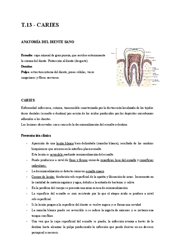 T.-13-Caries.pdf