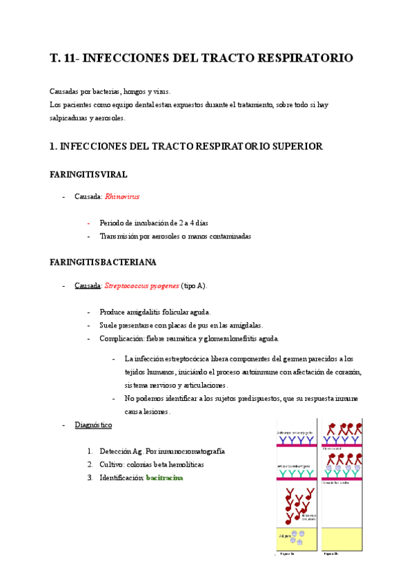 T.11-INFECCIONES-DEL-TRACTO-RESPIRATORIO.pdf